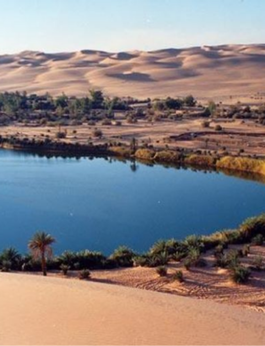 Picture of Siwa oasis